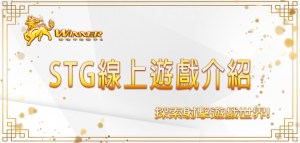 探索射擊遊戲世界：STG線上遊戲介紹