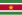 22px Flag of Suriname.svg